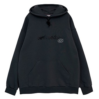 Толстовка Anteater Hoodie